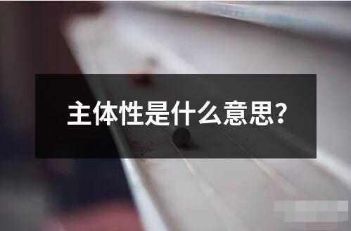 主體性是什么意思 主體性是指一個人或事物具有自我主導自我決定的能力和特征