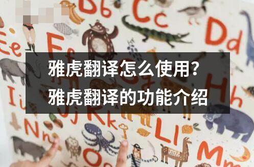 雅虎翻譯怎么使用 ?雅虎翻譯是雅虎公司推出的一款在線翻譯工具