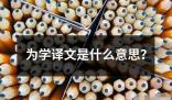 為學譯文是什么意思 為學譯文是指為了學習而翻譯的文本