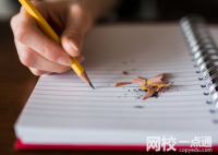 溫州醫(yī)科大學(xué)仁濟(jì)學(xué)院2024浙江省錄取分?jǐn)?shù)線(今年各省最低位次和分?jǐn)?shù)線公布)