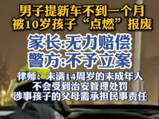 男子提車不到1個月就被孩子點燃 到底是什么情況？