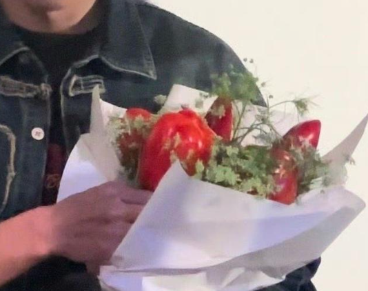 劉昊然重慶路演被送辣椒花 究竟是什么樣的？