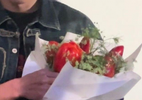 劉昊然重慶路演被送辣椒花 究竟是什么樣的？