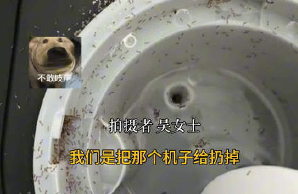上班7天喝的都是螞蟻泡澡水 背后真相實(shí)在讓人驚愕