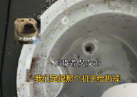 上班7天喝的都是螞蟻泡澡水 背后真相實在讓人驚愕