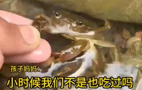 男童生吃蟹腿寄生蟲鉆進心臟 事件始末2025最新消息