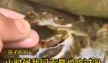 男童生吃蟹腿寄生蟲鉆進心臟 事件始末2025最新消息