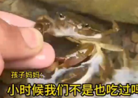 男童生吃蟹腿寄生蟲鉆進心臟 事件始末2025最新消息