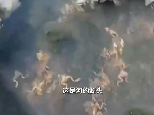 黑龍江一水源地疑遭投毒 警方介入 真相簡直太恐怖了