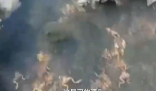 黑龍江一水源地疑遭投毒 警方介入 真相簡(jiǎn)直太恐怖了