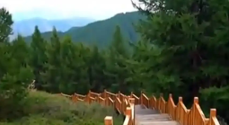 女孩逃票進(jìn)景區(qū)后墜亡 景區(qū)被判無責(zé) 內(nèi)幕實(shí)在讓人驚個(gè)呆