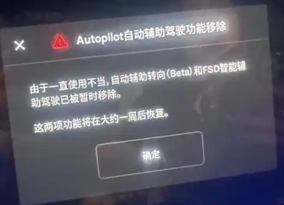 FSD落地中國當晚就有車主被禁用 背后真相實在讓人驚愕