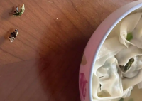 盒馬餛飩疑吃出蟑螂 當地市監局回應 實在太惡心了