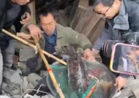 村民老屋拆遷挖出近40斤重娃娃魚 始料未及真相簡直太意外了