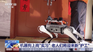 機器狗的技能值已經拉滿了 內幕曝光簡直太意外了