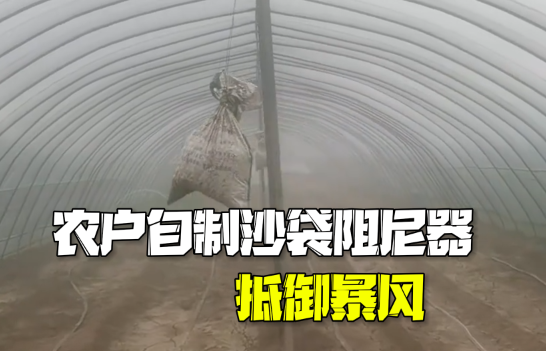 農戶自制沙袋阻尼器抵御暴風 成功保護了他的大棚免受破壞