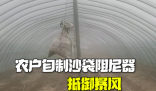 農戶自制沙袋阻尼器抵御暴風 成功保護了他的大棚免受破壞