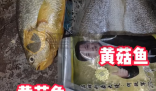 網購黃花魚到手只有包裝是黃的 為什么這么坑人？
