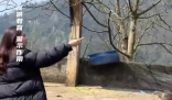 女子挑釁鴕鳥被一腳踹爛羽絨服 這也太罕見了