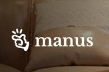 第一波用Manus賺錢的人出現了 背后真相實在讓人驚愕