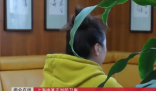 女子砍傷踹門打人男子被認定正當防衛 究竟是怎么回事？