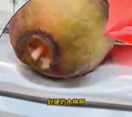 小伙將車停在木棉樹下結(jié)果悲劇了 實(shí)在太意外了
