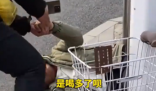 外賣小哥救醒醉酒路人后放聲大哭 始料未及真相簡直太意外了