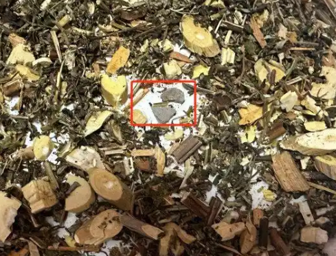 網(wǎng)購中藥泡腳包檢出大量病菌 為什么這么多病菌？