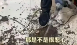 女子吐槽樓上鄰居馬桶正對(duì)自家廚房 究竟是怎么回事？