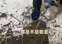 女子吐槽樓上鄰居馬桶正對自家廚房 究竟是怎么回事？