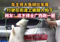 車主釣到巨型大魚綁車尾炫耀 成為了當地人們茶余飯后的談資
