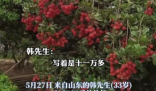 90后小伙拍下1300年荔枝樹(shù)采摘權(quán) 究竟是怎么回事？