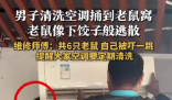 男子洗空調捅鼠窩 老鼠下餃子般逃散 一共6只老鼠