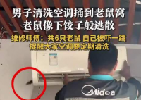 男子洗空調捅鼠窩 老鼠下餃子般逃散 一共6只老鼠