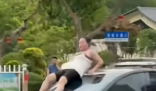 女子當街打砸汽車:系精神病發作 實在太無奈了