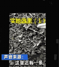 蚯蚓遭“滅絕式”捕殺，發(fā)生了什么？一公斤干品能賣300元？緊急提醒！