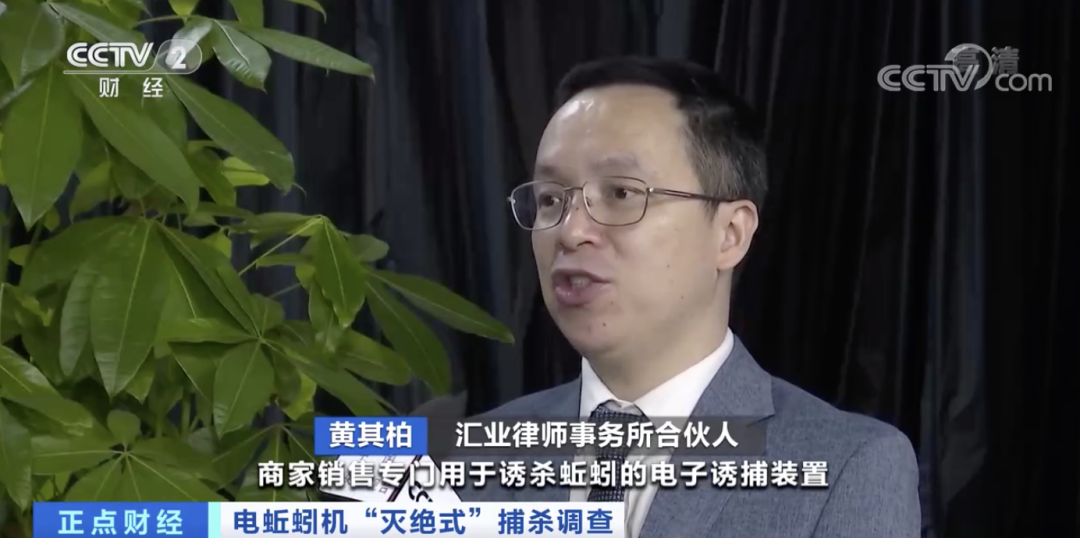 蚯蚓遭“滅絕式”捕殺，發(fā)生了什么？一公斤干品能賣300元？緊急提醒！
