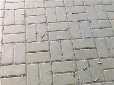 煙草危害環境  控煙守護健康