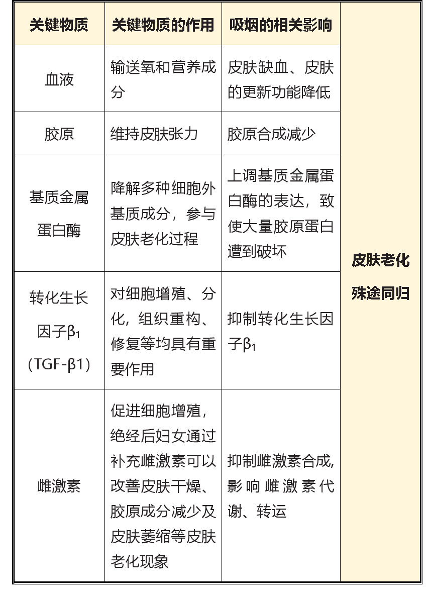 吸煙會導致皮膚老化？