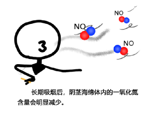 男性吸煙會影響性功能？