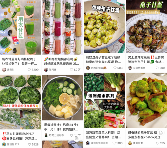“洋”蔬菜比普通蔬菜營養價值高？