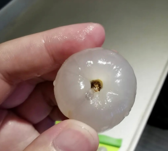 原來自己一直在吃荔枝蟲子？網友坐不住了……
