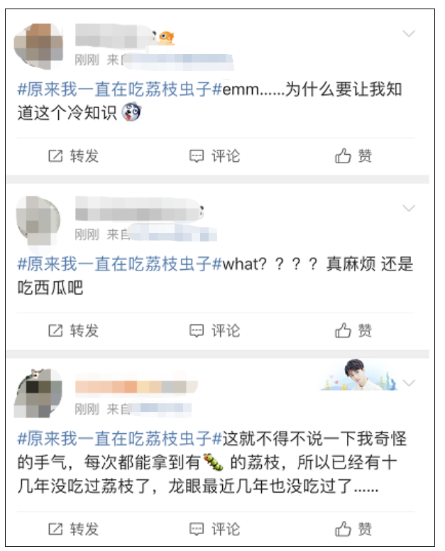 原來自己一直在吃荔枝蟲子？網友坐不住了……