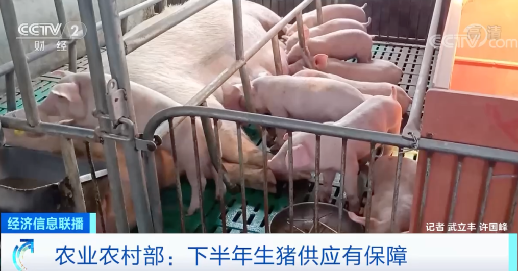 關(guān)乎生豬供應(yīng)！官方發(fā)話