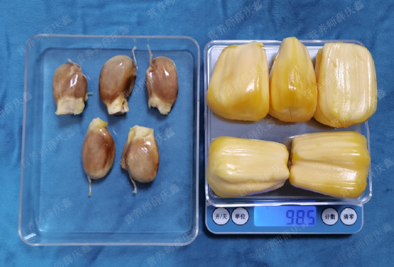菠蘿蜜的核不能吃？