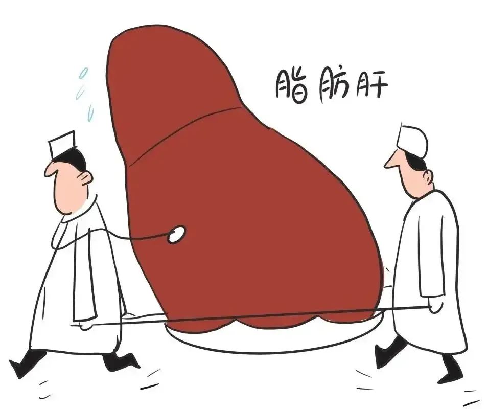 長(zhǎng)期吃素就能避開脂肪肝？真相沒那么簡(jiǎn)單……