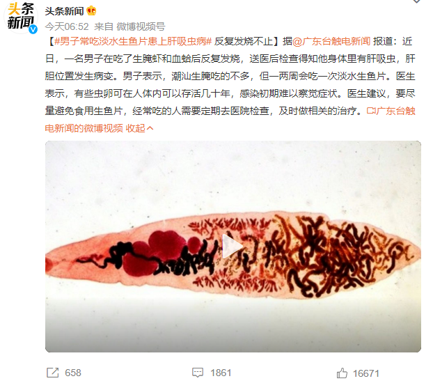 生吃水產會感染寄生蟲？